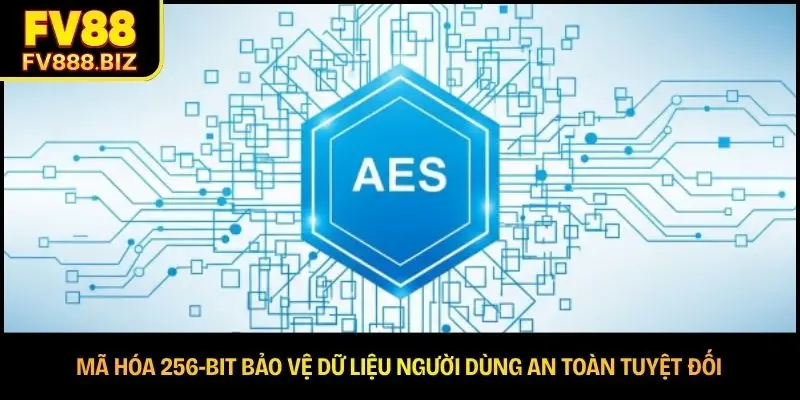 Mã hóa 256-bit bảo vệ dữ liệu người dùng an toàn tuyệt đối